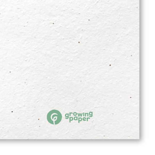 200 g / m² seed paper