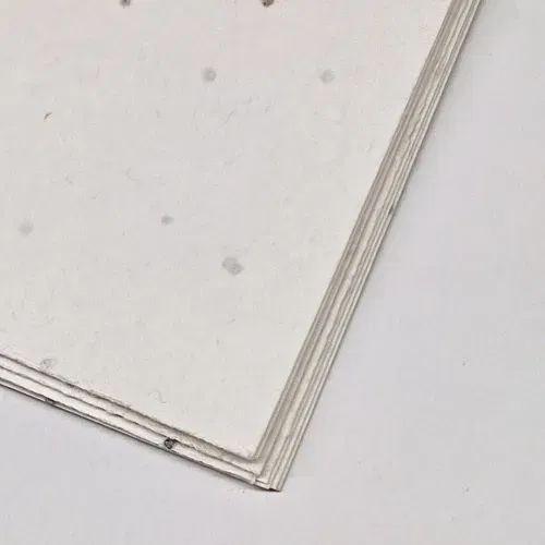 150 g / m² seed paper