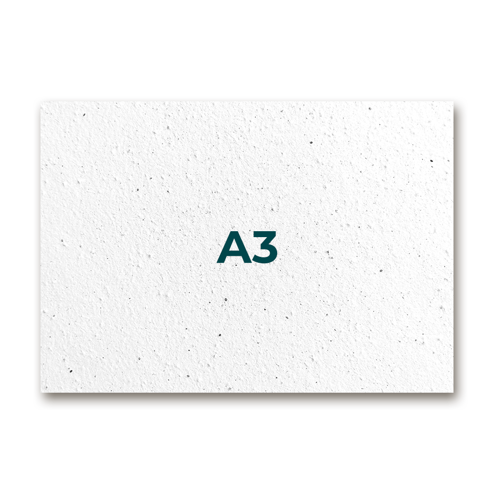 A3 landscape format