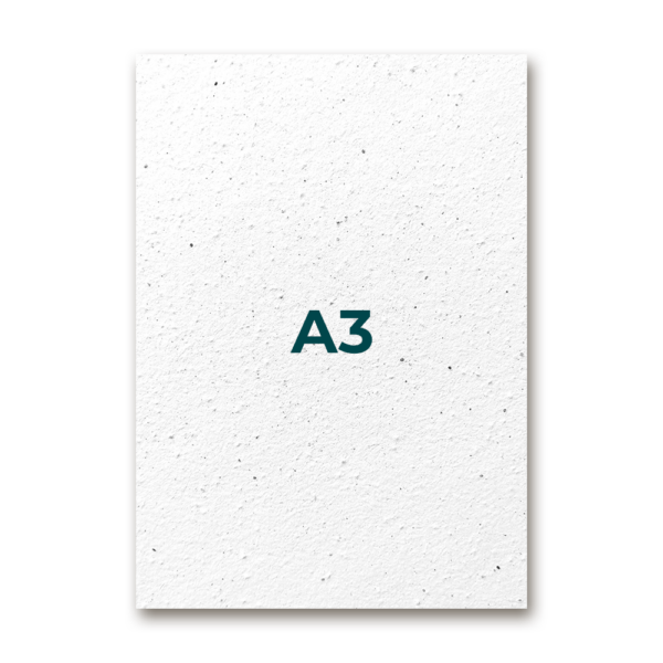 A3 Unprinted 420 x 297 mm