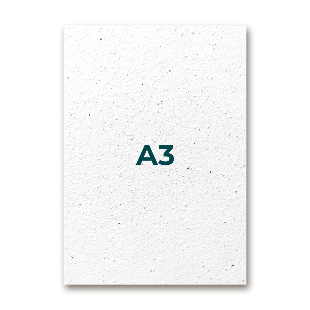 A3 portrait format