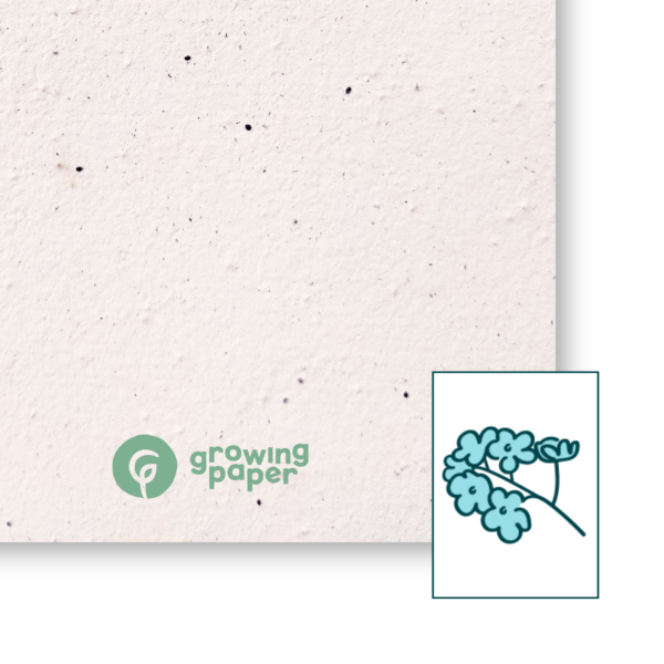 Forget-me-not 250 g / m²