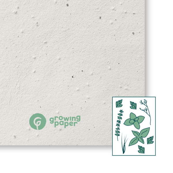 Herbmix 250 g / m²