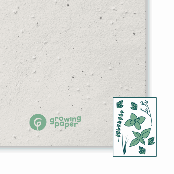 Kräutermix 250 g / m²