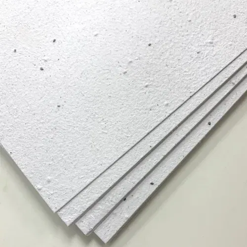 250 g / m² seed paper