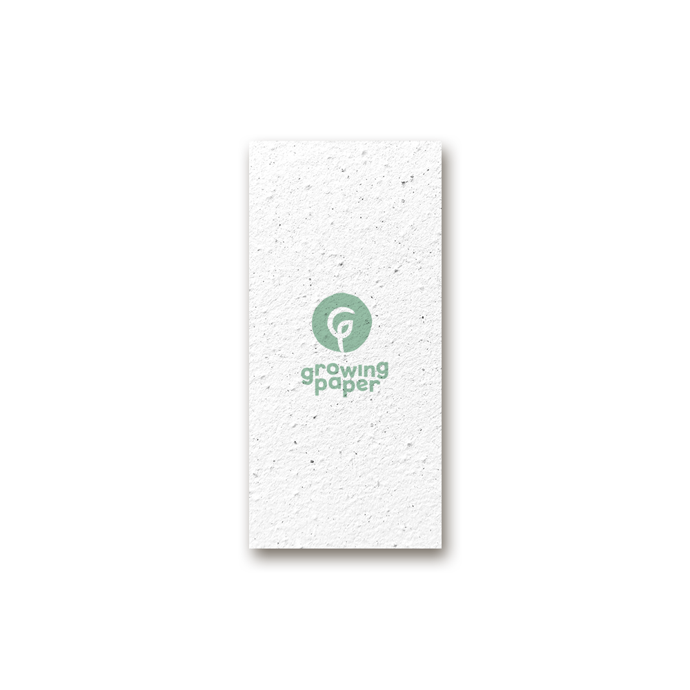Flyer S format in portrait