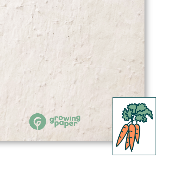 Carrots 80 g / m²
