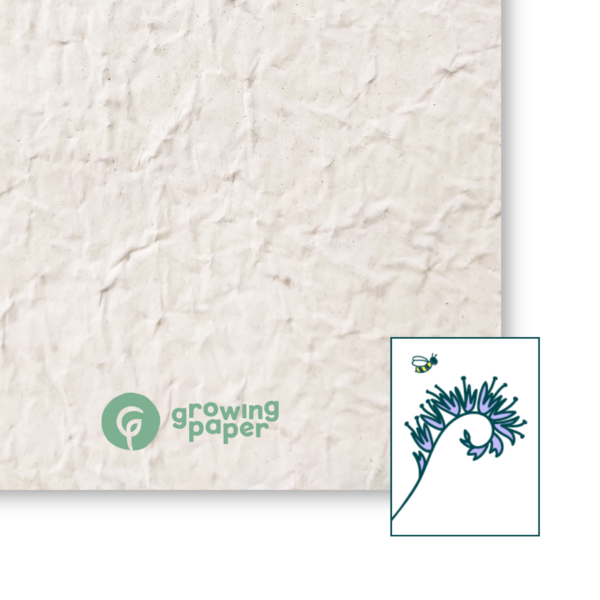 Phacelia 80 g / m²