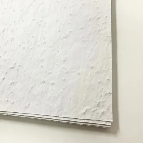 80 g / m² seed paper