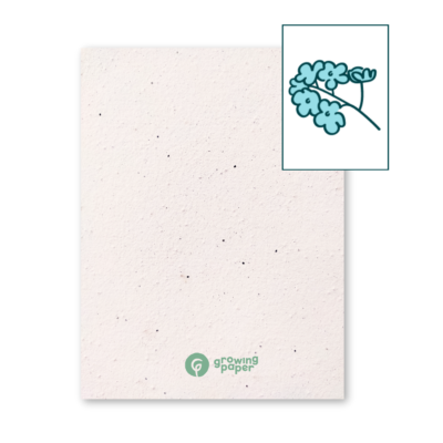 250 grams seed paper with forget-me-not seeds