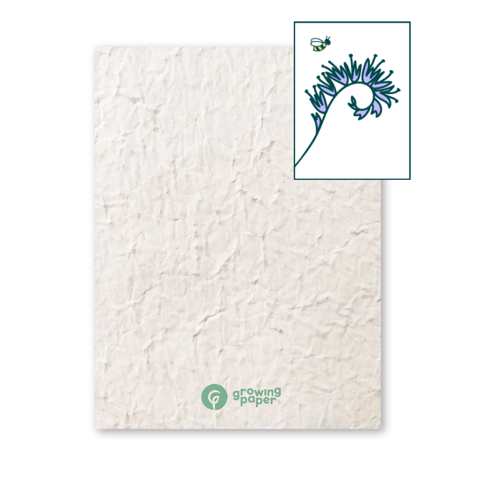 80 grams seed paper with phacelia seeds