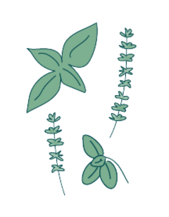 Seed paper seed herb mix