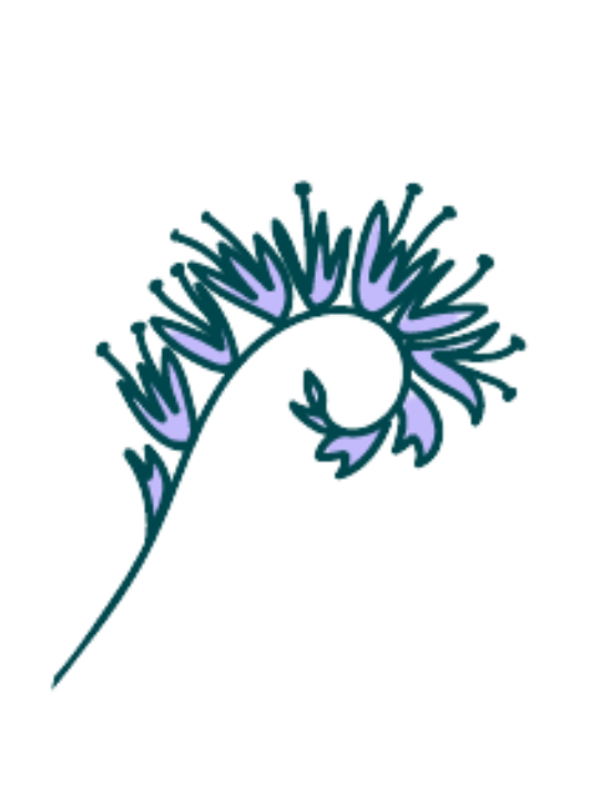 Seed paper seed phacelia