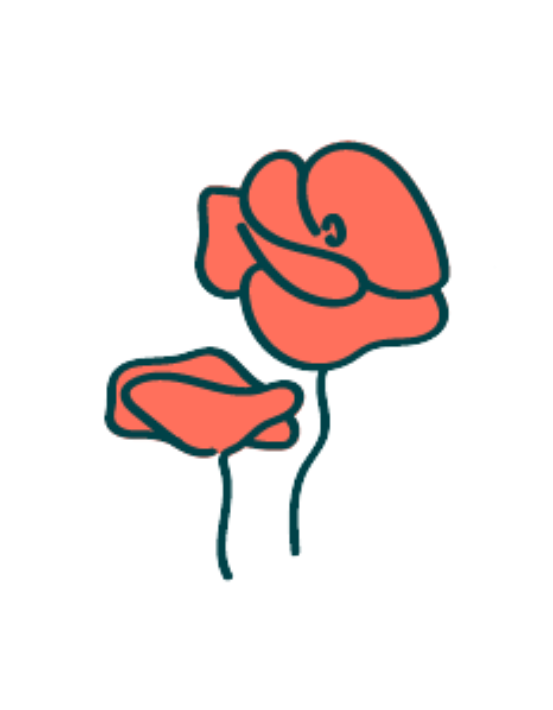 Seed paper seed poppy