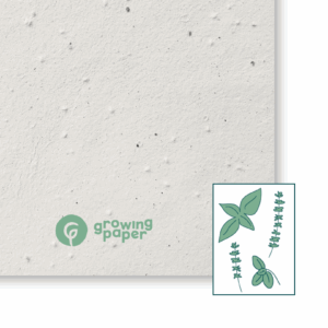250 g / m² seed paper with herb seeds