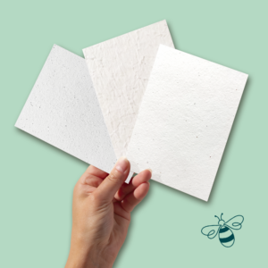 Our seed paper