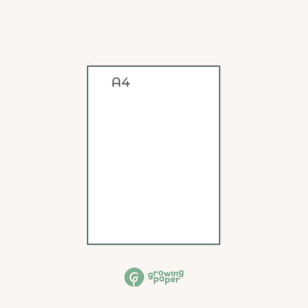 DIN formaten