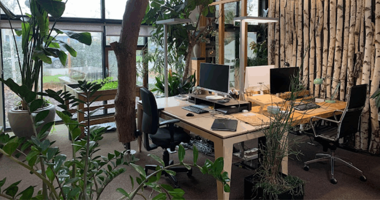 The inside of our green office, filled with plants