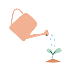 How to plant seed paper