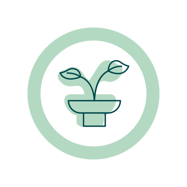 Planting instructions