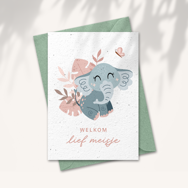 Baby kaart “Welkom lief miesje”