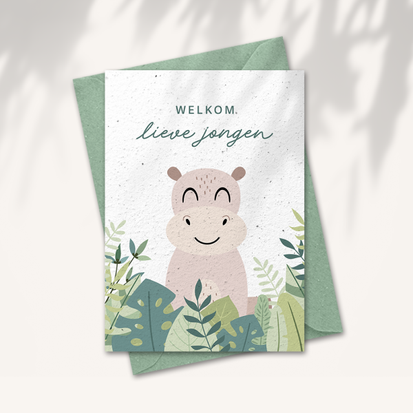 Baby kaart “Welkom lieve jongen”