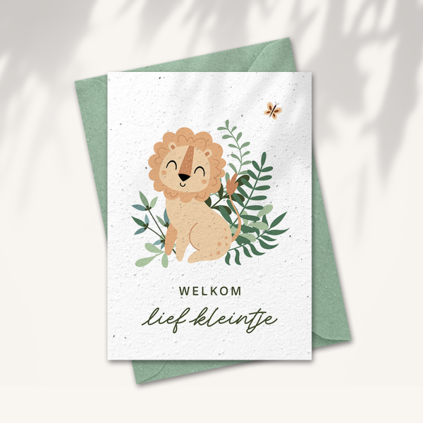 Baby kaart “Welkom lief kleintje”