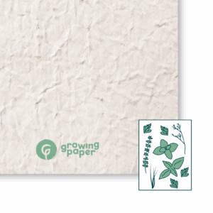 80 g / m² seed paper with herb seeds