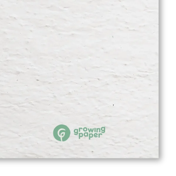 120 g / m² seed paper