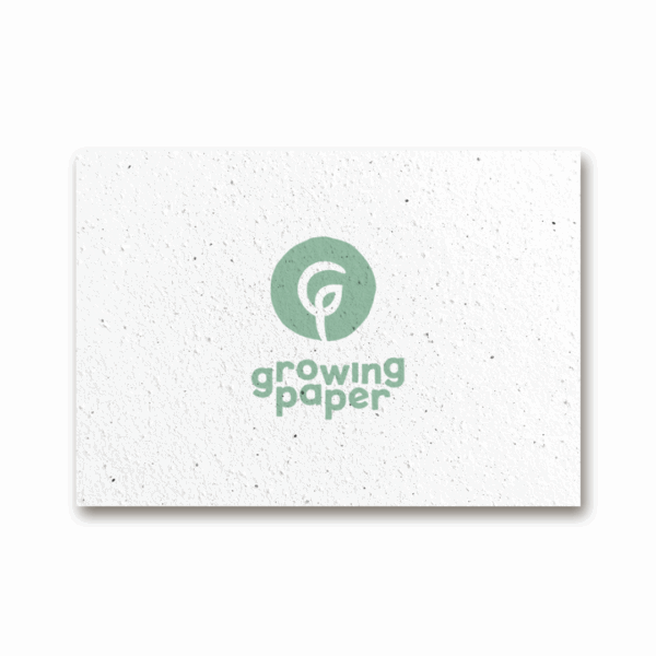 Custom seed paper A4