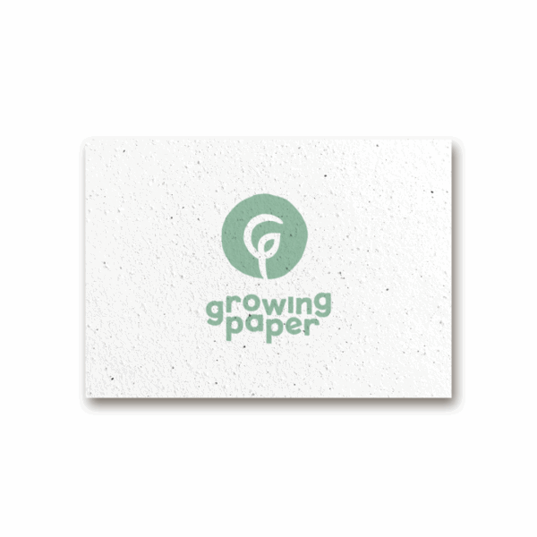 Custom seed paper A5
