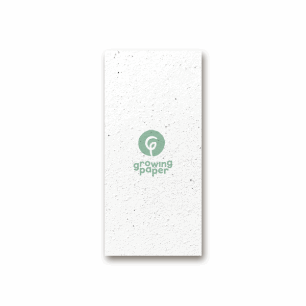 Custom seed paper flyer M (99×210 mm)