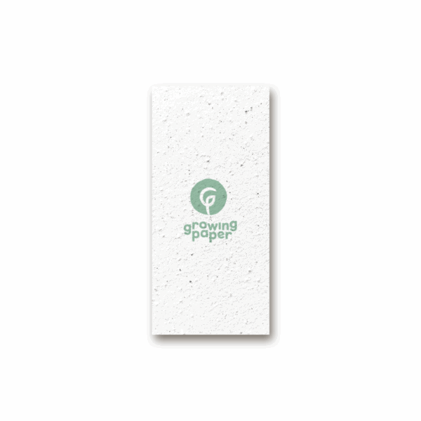 Custom seed paper flyer S (70 × 148,5 mm)