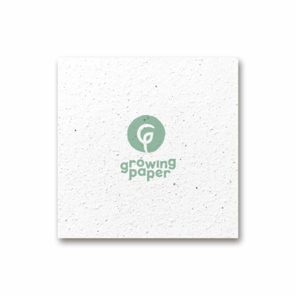 Custom seed paper square large