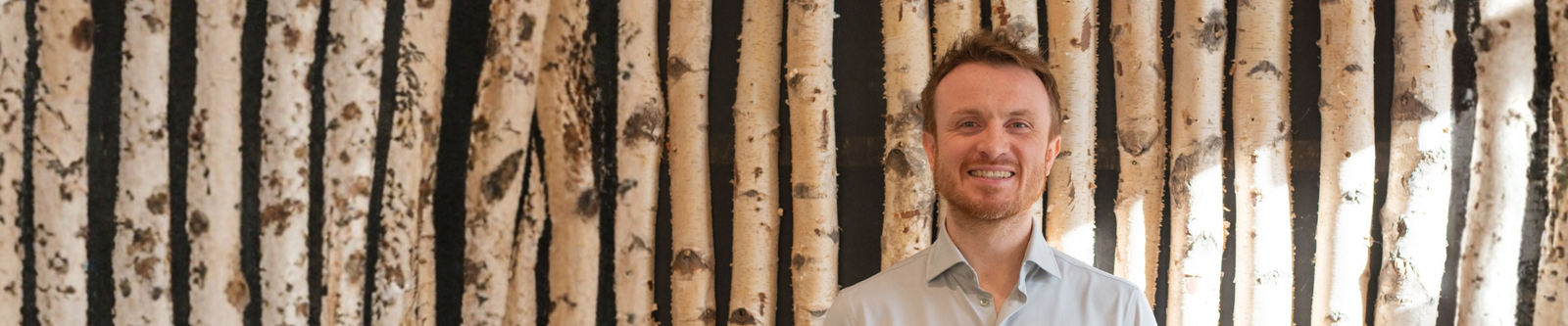 Sales Team member johannes background