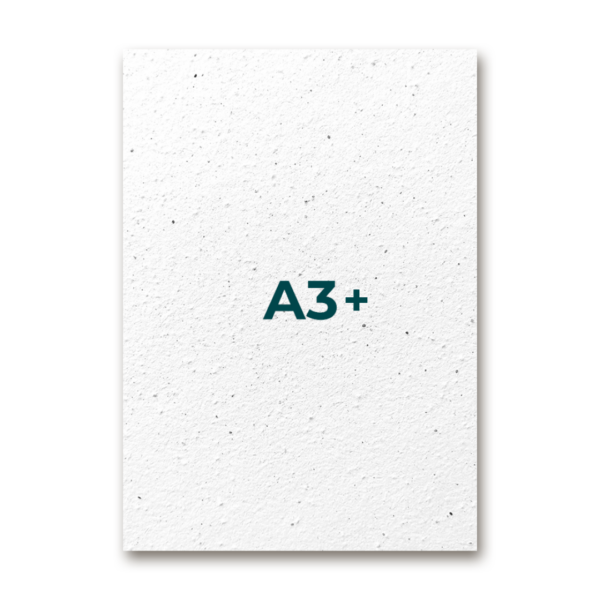 A3+ Unprinted 483 x 329 mm