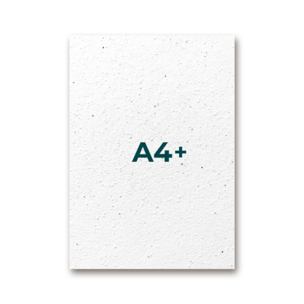 A4+ Unprinted 242 x 329 mm