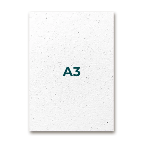 A3 portrait format