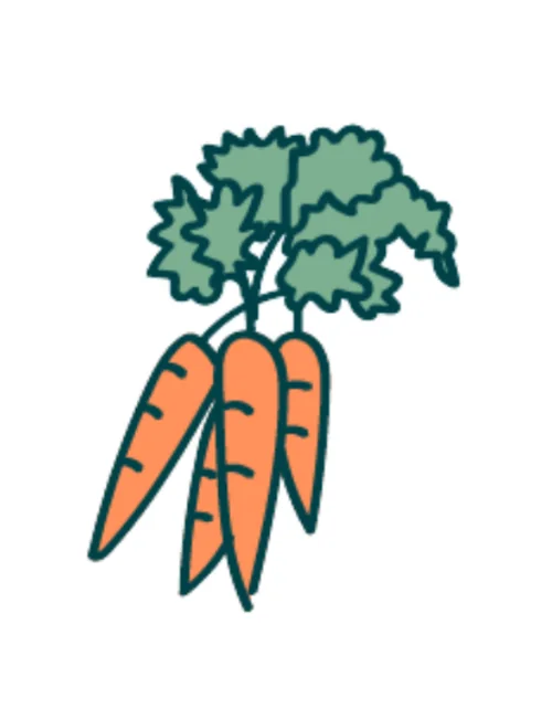 Seed paper seed carrot