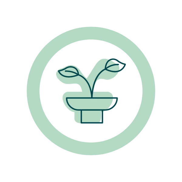 Icon for planting instructions