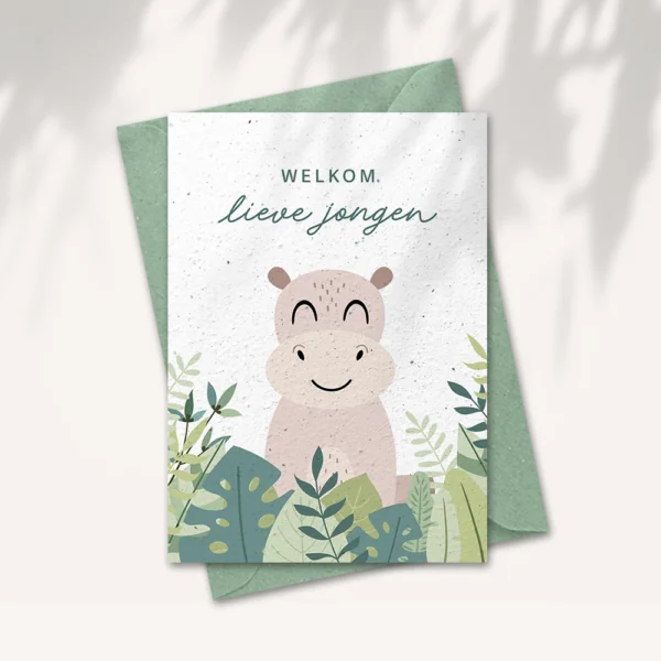Growing paper card - Welcome baby boy - With envelope
