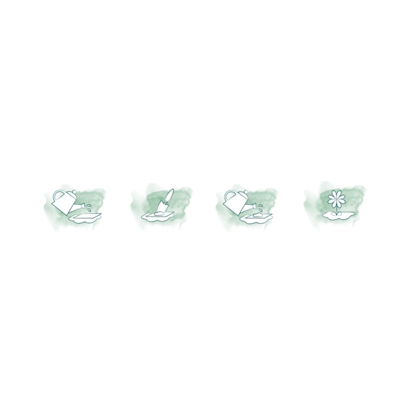 Color 4.PNG