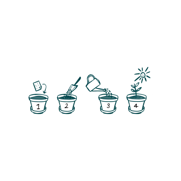Color 5.PNG