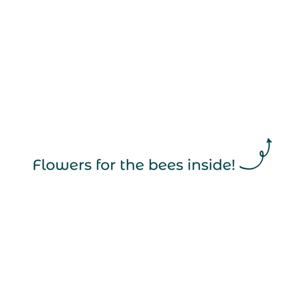 Text 2.PNG