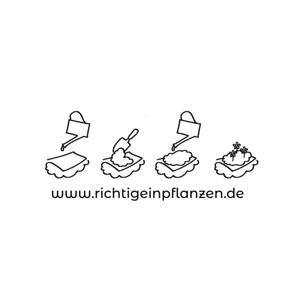 Black planting instructions