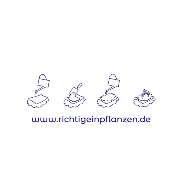 Blue planting instructions
