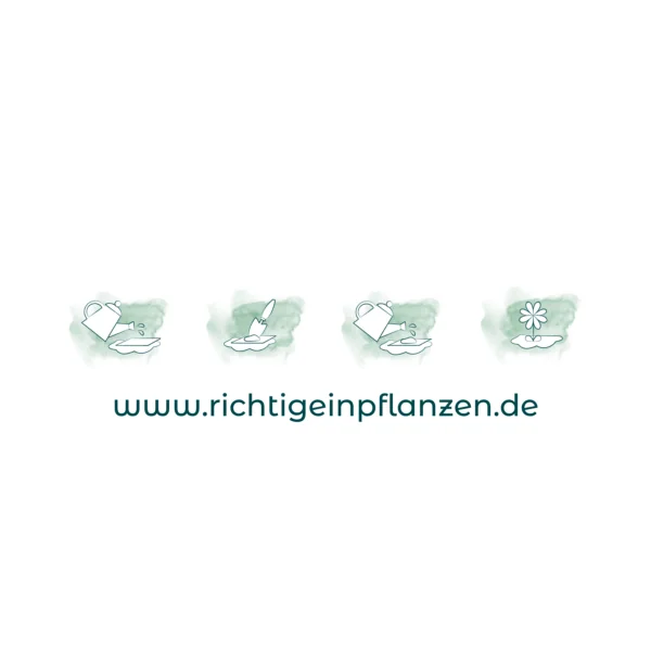 Green planting instructions