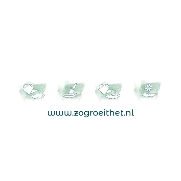 Green planting instructions