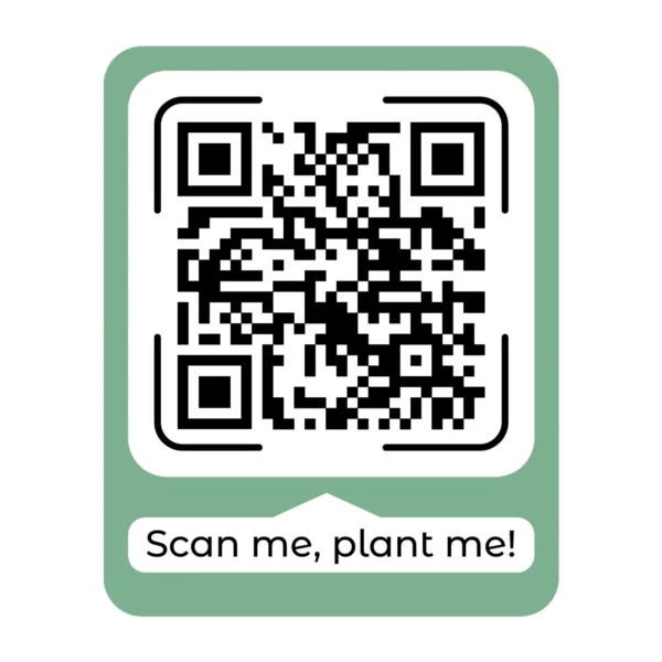 Black QR code with green border