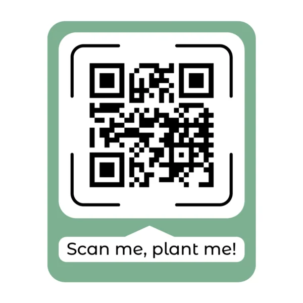 Black QR code with green border